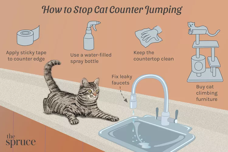 how to keep cats off countertops
